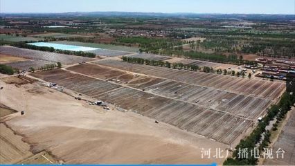河北省級農業示范區步入建設新階段，計算機網絡工程助力鄉村振興